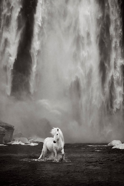 Earthy Allure by Drew Doggett.
